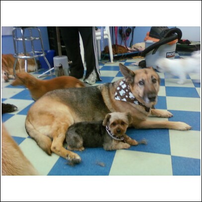 Jake and Peanut